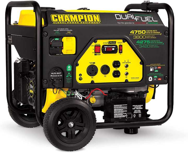Champion Power Equipment 76533 Dual Fuel DJ Ready Portable Generator